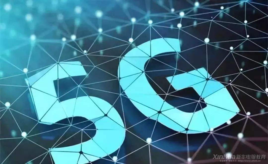 AI(y)f(shu)5G(lin)W(wng)r(sh)L(fng)µǰИI(y)